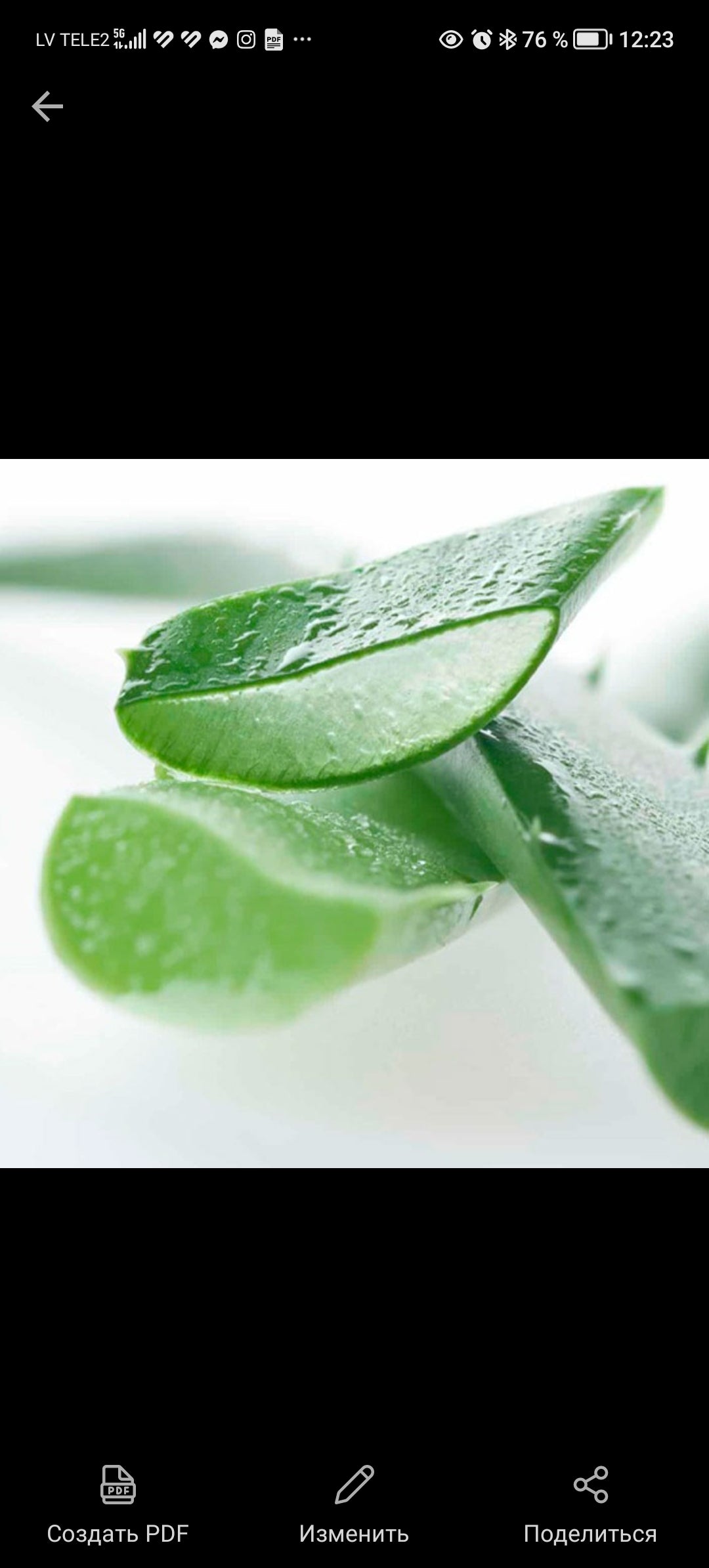 Slaap Aloe Vera viskoelastīgais spilvens